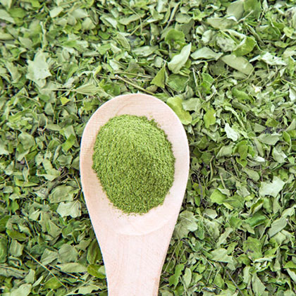 moringa-arbol-contradicciones
