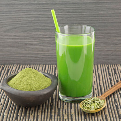 moringa-usos-y-beneficios